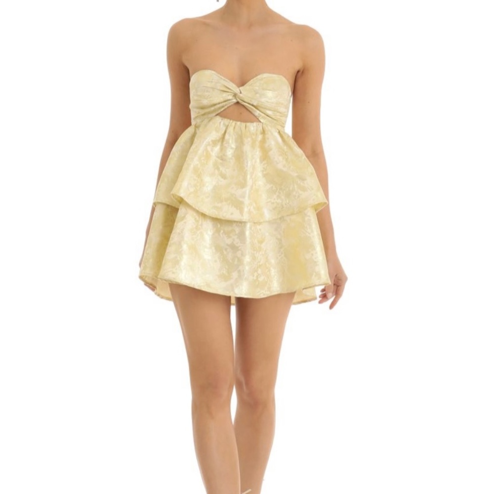 Lucy in the sky mini dress